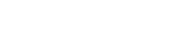 Delft imaging logo white.webp